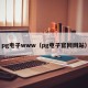pg电子www（pg电子官网网站）