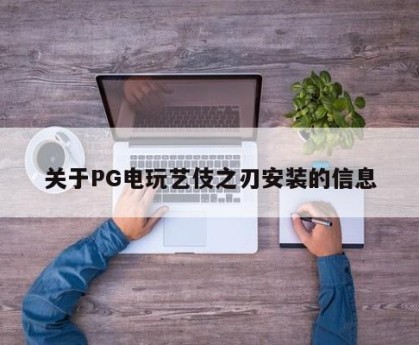关于PG电玩艺伎之刃安装的信息